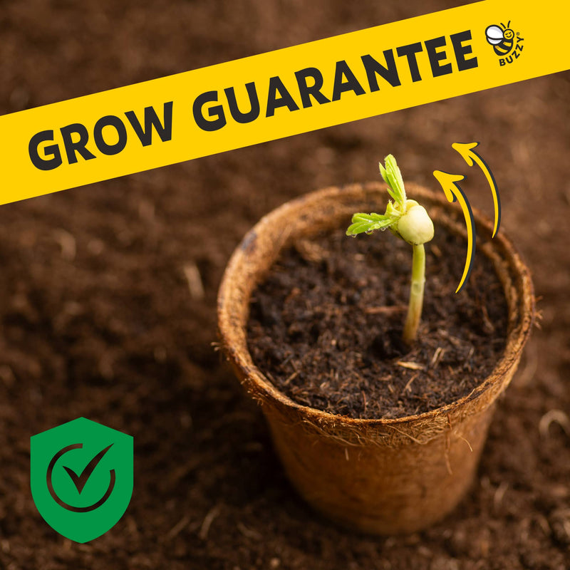 Small plant seedling growing in biodegradable pot with grow guarantee banner
