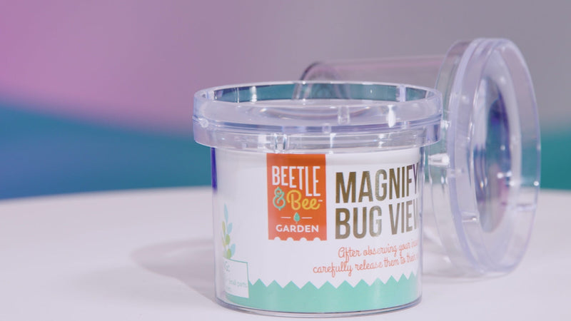 Clear plastic Beetle & Bee Magnifying Bug Viewer container with colorful label and lid