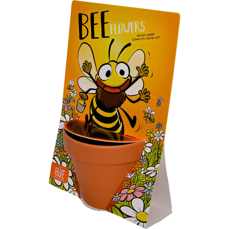Bee Flowers wildflower grow kit with terra cotta pot and bee-themed packaging