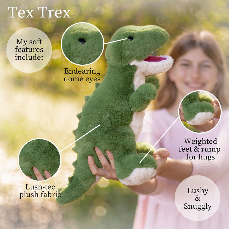 Green Tex T-Rex plush dinosaur with soft features being held by child in outdoor setting