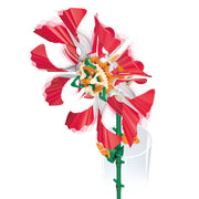 Thames & Kosmos SolarFlower Ruby Ripple with red white petals and green stem