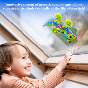 Child watching colorful gecko robot climbing vertically on window using suction cups