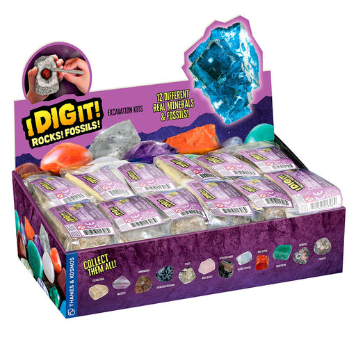 Thames & Kosmos I Dig It Rocks & Fossils excavation kit display box with mineral samples