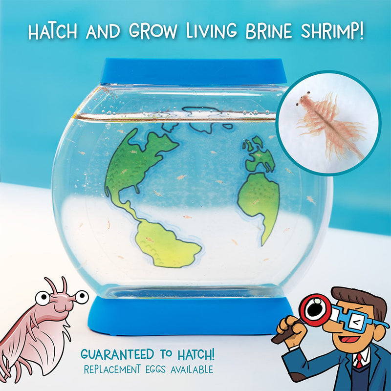 Brine shrimp aquarium kit with globe tank showing world map design and educational graphics