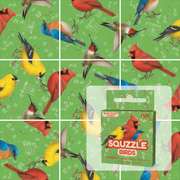 Squzzle Birds brain teaser puzzle by Fun Squared Games showing colorful bird tile artwork