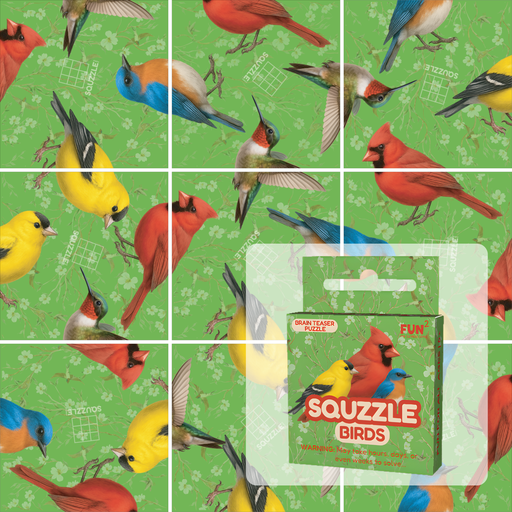 Squzzle Birds brain teaser puzzle by Fun Squared Games showing colorful bird tile artwork