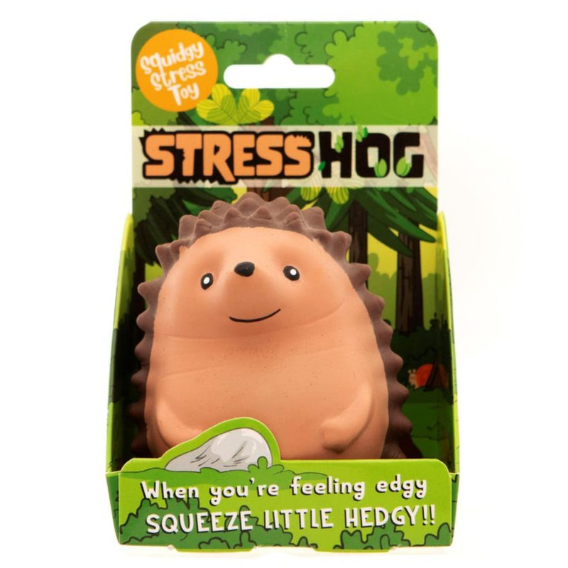 Stress toy packaging with a hedgehog design on a green background