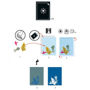 Instruction diagram showing how to use a leaf art kit, with illustrated steps, icons for water and sunlight, and five sample leaf prints in different colors on a white background.