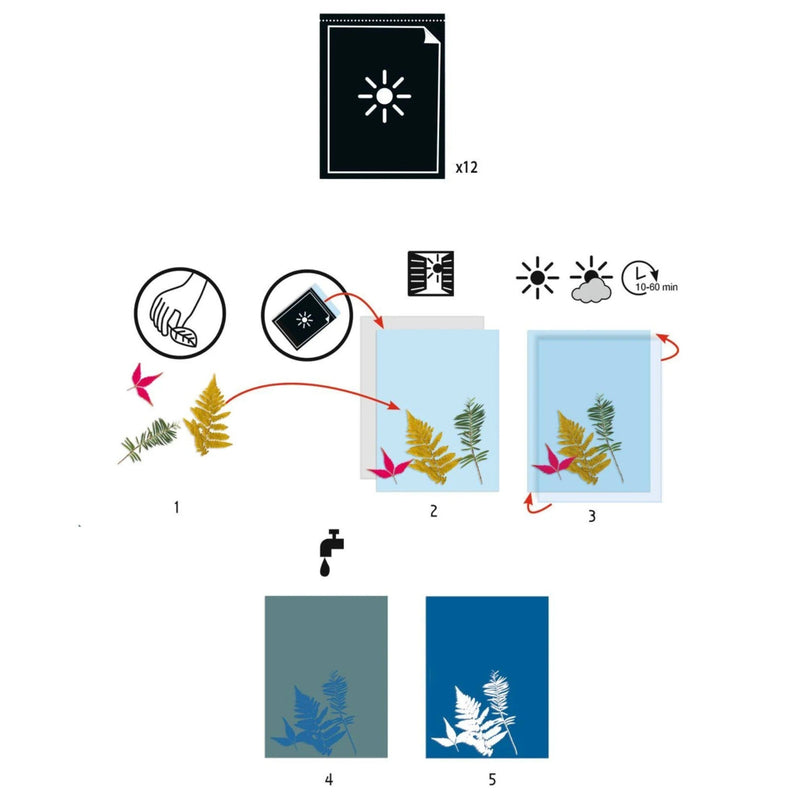 Instruction diagram showing how to use a leaf art kit, with illustrated steps, icons for water and sunlight, and five sample leaf prints in different colors on a white background.