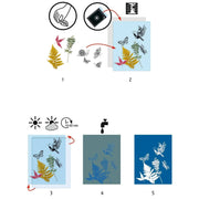 Instruction diagram showing steps for applying a decorative wall decal or transfer sheet. Step 1 shows icons for a hand and a card, with loose botanical and bird illustrations above a light blue sheet.