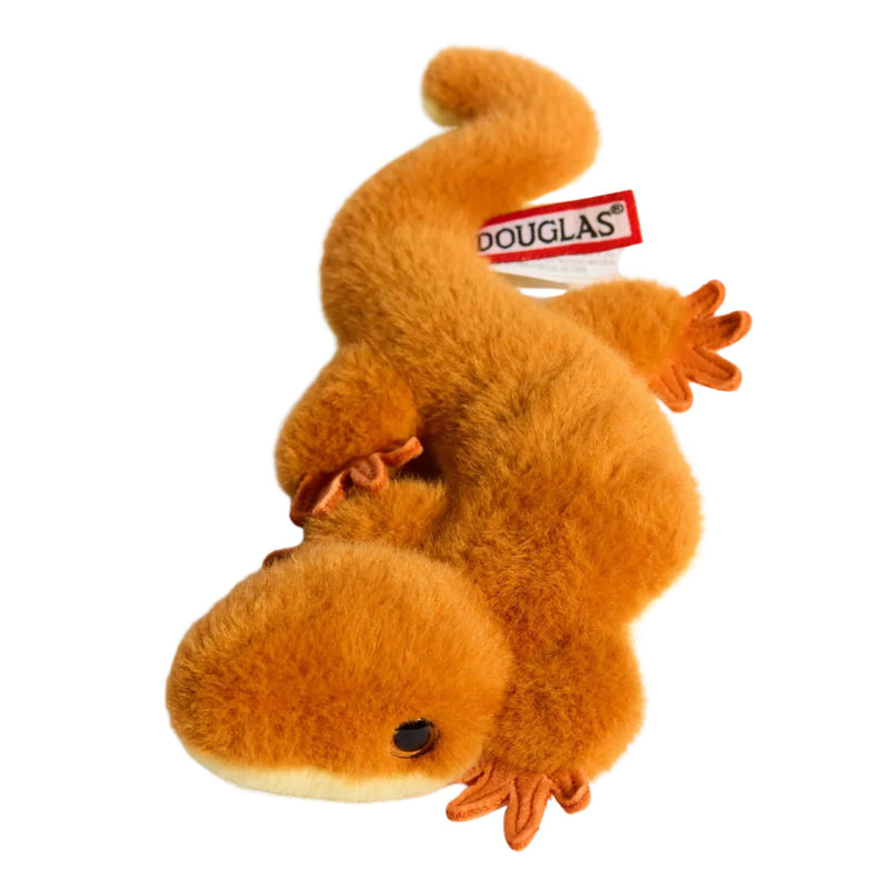Sam Salamander