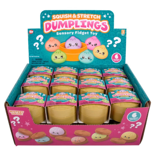 Display box of Squish & Stretch Dumplings sensory fidget toys with colorful packaging.