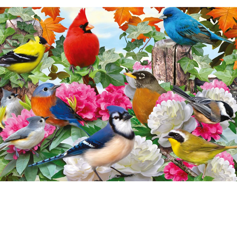 Finished 500 pc Ravensburger Garden Birds puzzle. 