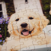 Jigsaw puzzle of a dog with a completed section showing a smiling dog's face.