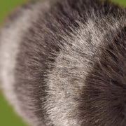 Close up of Trixiwoo Raccoon's dark gray and lighter gray striped tail.