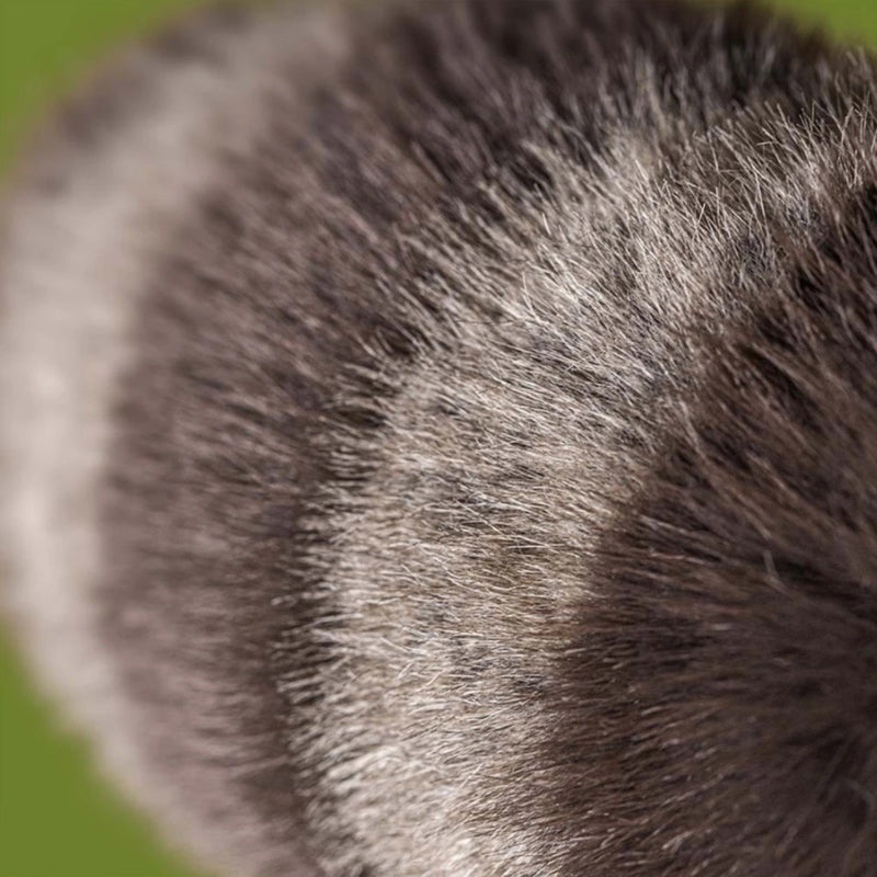 Close up of Trixiwoo Raccoon's dark gray and lighter gray striped tail.
