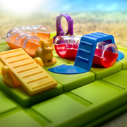 Smart Dog game set with tunnels and a slide on a green base.