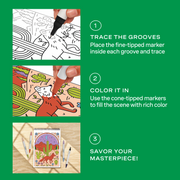 FlowArt trace-by-groove coloring instructional guide showing three-step process with desert scene