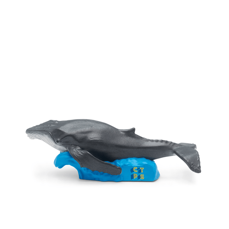 Gray whale Tonie figurine on blue wave base with gold lettering