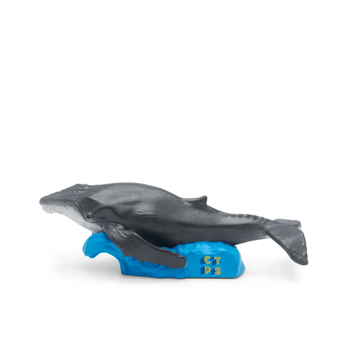 Gray whale Tonie figurine on blue wave base with gold lettering