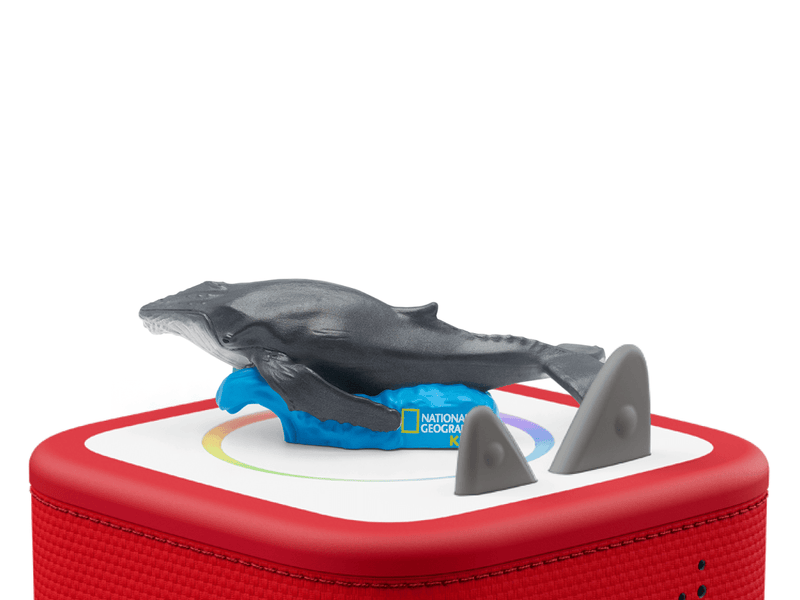 Tonie Nat Geo Whale figure on red Toniebox with gray fins