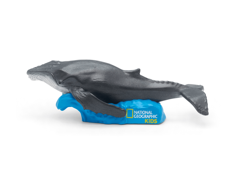 National Geographic Kids whale Tonie figurine on blue base against white background
