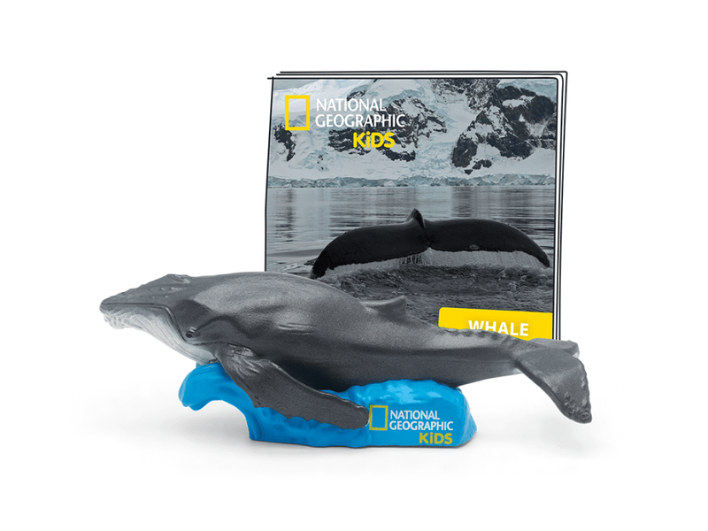 National Geographic Kids whale Tonie figure with blue base and accompanying information card