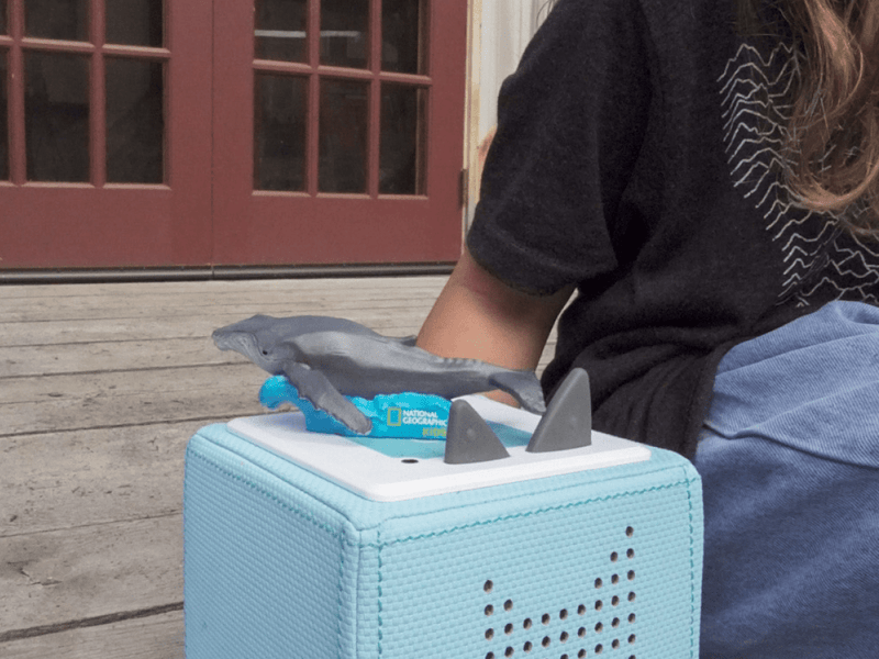 Gray whale Tonie figure displayed on turquoise Toniebox with child playing outdoors
