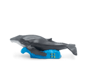 Tonie figurine featuring gray whale on blue wave base with CTPS letters