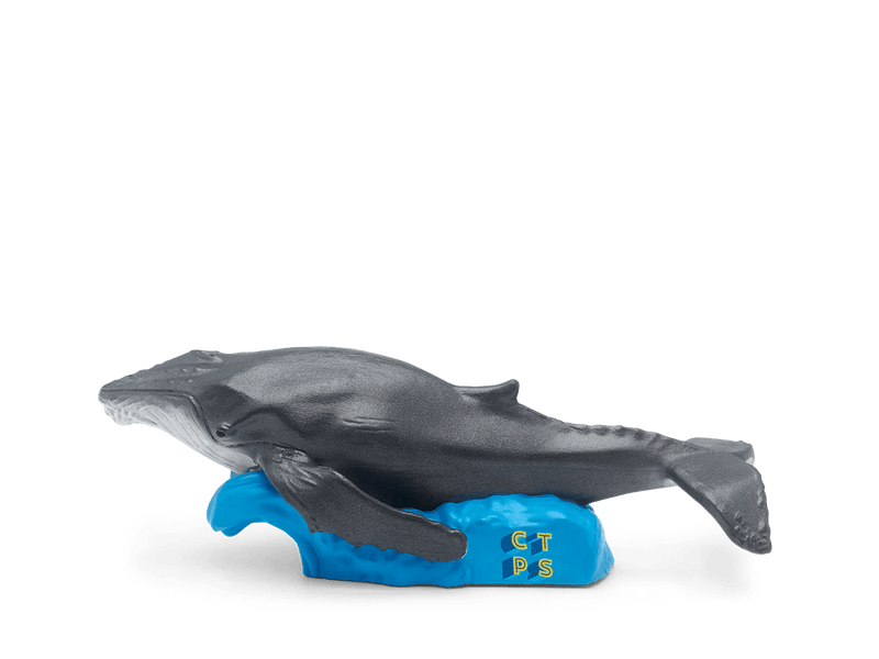 Tonie figurine featuring gray whale on blue wave base with CTPS letters
