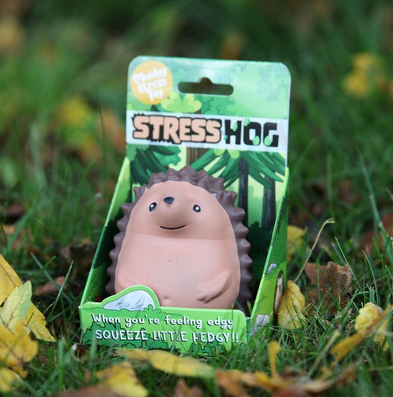 Pink hedgehog stress toy in green packaging on grass background