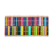 Collection of 50 double-sided colored pencils arranged in rows showing 100 different colors