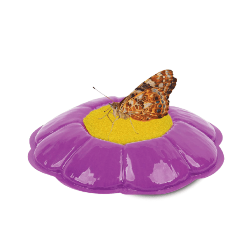 Purple flower-shaped butterfly feeder with orange butterfly feeding on yellow center nectar area