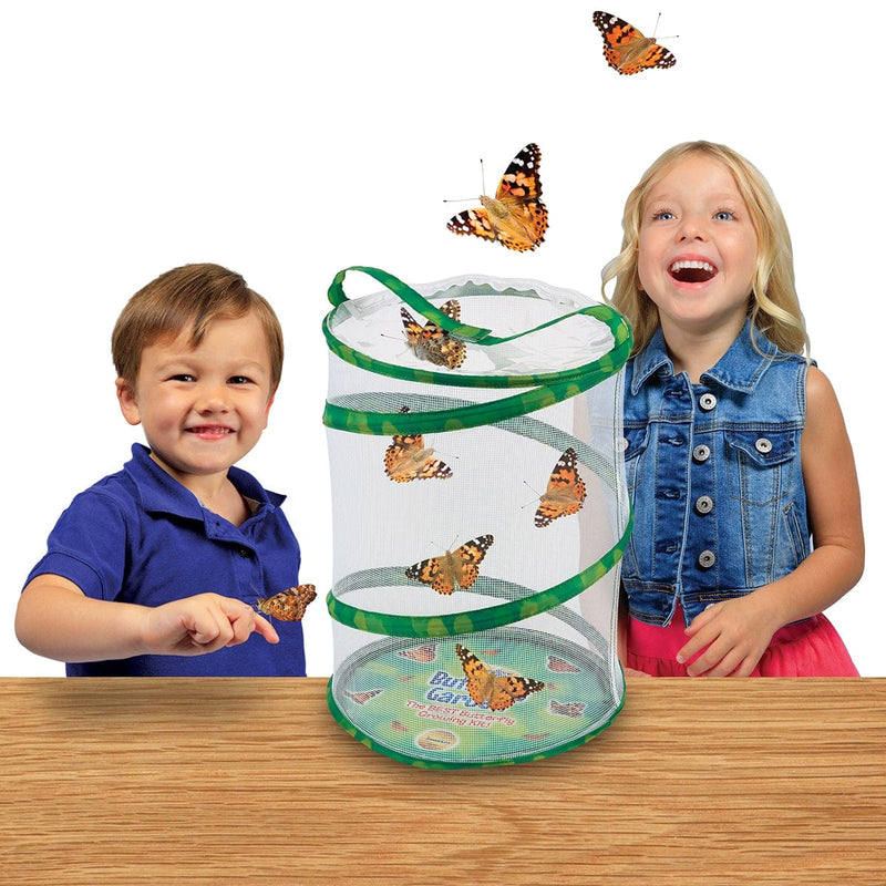 Two children watching butterflies emerge from Insect Lore Butterfly Farm habitat enclosure