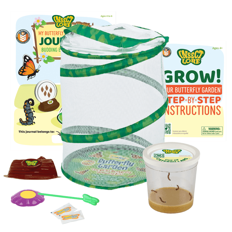 Insect Lore butterfly garden kit with habitat, journal, caterpillar cup and accessories displayed
