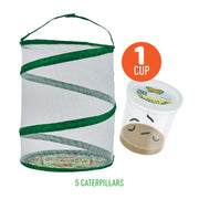 Insect Lore Butterfly Farm kit with mesh habitat and caterpillar cup