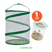Insect Lore Butterfly Farm kit with mesh habitat and caterpillar cup