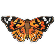 Orange and black painted lady butterfly wings costume accessory on white background