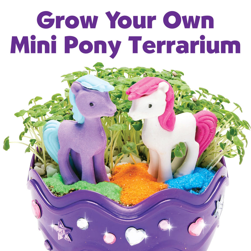 Mini pony terrarium kit with purple container, toy ponies, and growing plants